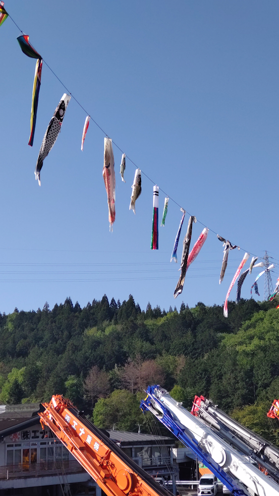 鯉のぼり - NEWS - 株式会社エナ重機